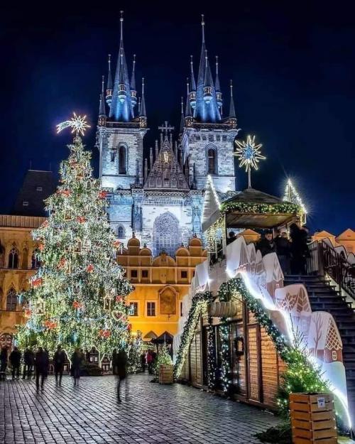 Vánoční strom na&nbsp;Staroměstské náměstí v&nbsp;Praze. 1