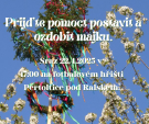 Stavění májky. 1