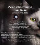 Zvíře jako zrcadlo naší duše 1